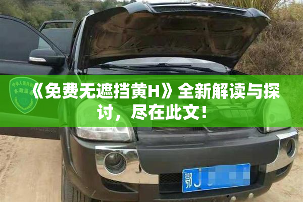 《免费无遮挡黄H》全新解读与探讨，尽在此文！