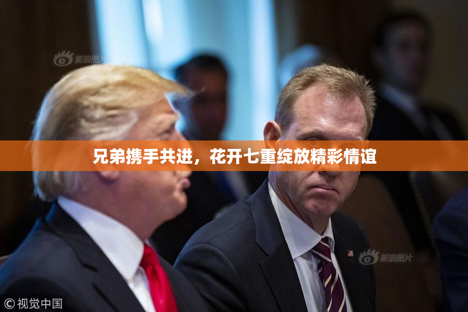 兄弟携手共进，花开七重绽放精彩情谊