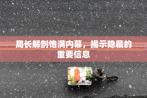 局长解剖饱满内幕，揭示隐藏的重要信息