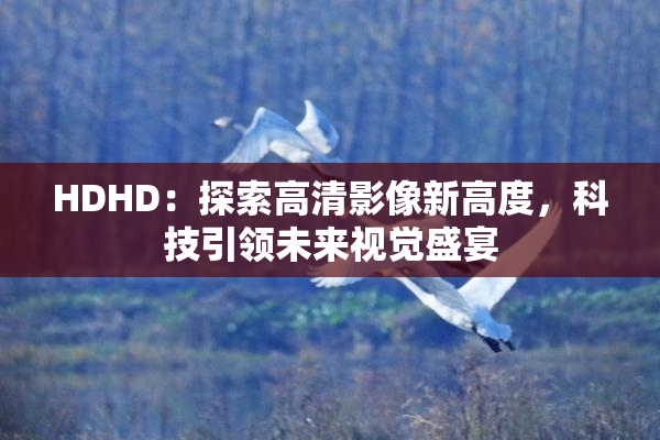 HDHD：探索高清影像新高度，科技引领未来视觉盛宴