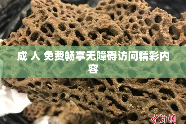 成 人 免费畅享无障碍访问精彩内容