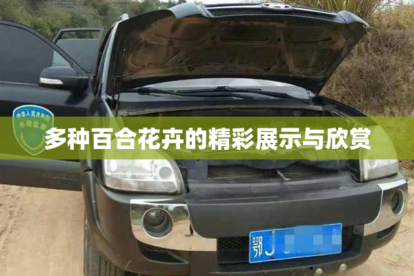 多种百合花卉的精彩展示与欣赏