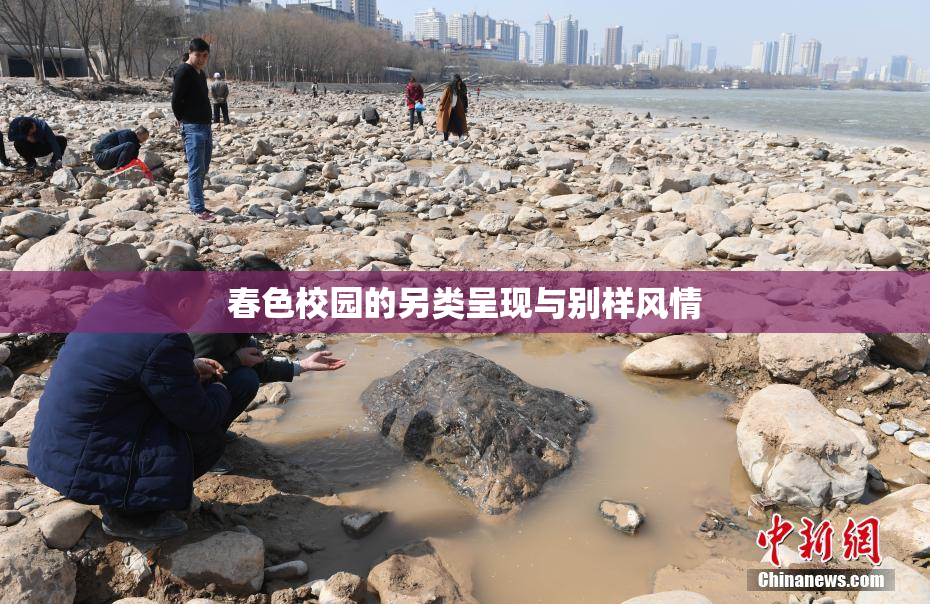 春色校园的另类呈现与别样风情