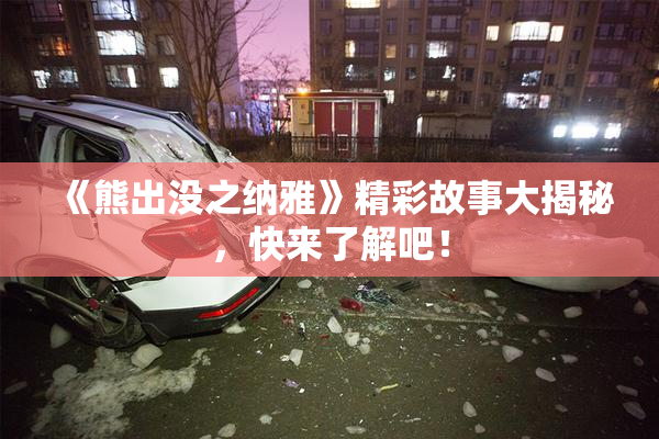 《熊出没之纳雅》精彩故事大揭秘，快来了解吧！