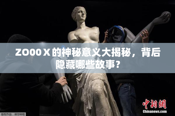 ZO00Ⅹ的神秘意义大揭秘，背后隐藏哪些故事？