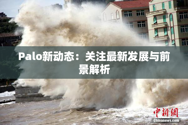 Palo新动态：关注最新发展与前景解析