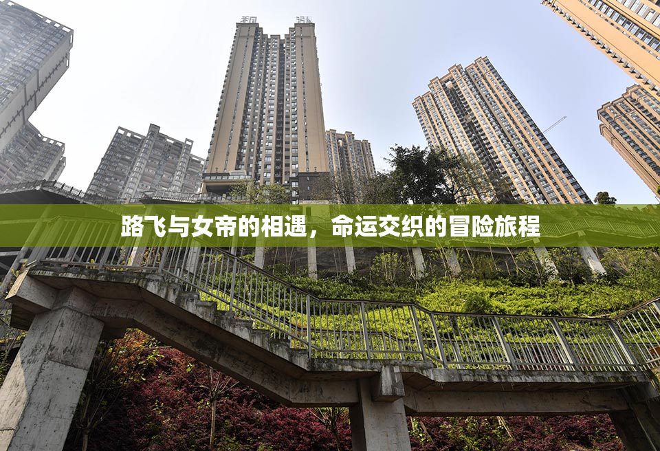 路飞与女帝的相遇，命运交织的冒险旅程
