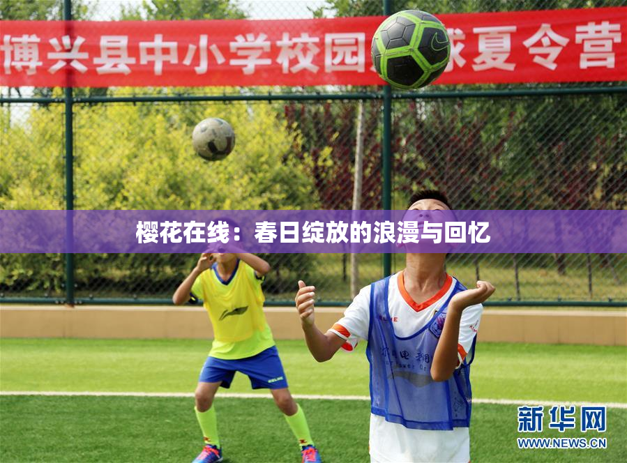 樱花在线：春日绽放的浪漫与回忆