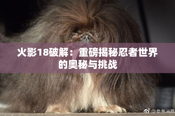 火影18破解：重磅揭秘忍者世界的奥秘与挑战