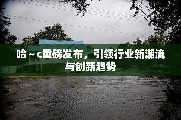 哈～c重磅发布，引领行业新潮流与创新趋势