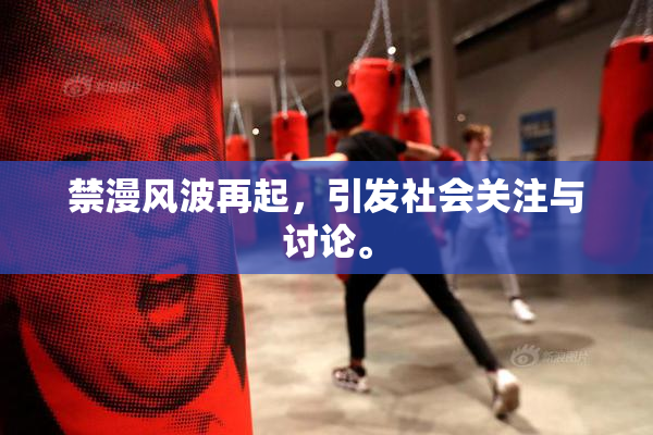 禁漫风波再起，引发社会关注与讨论。