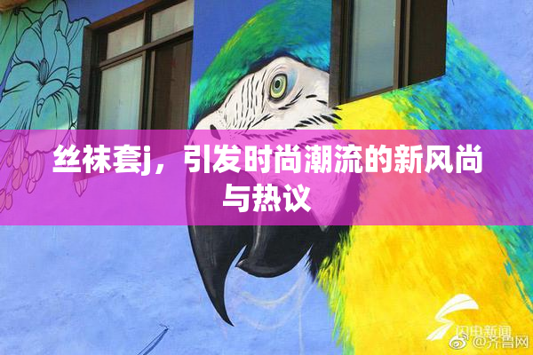 丝袜套j，引发时尚潮流的新风尚与热议