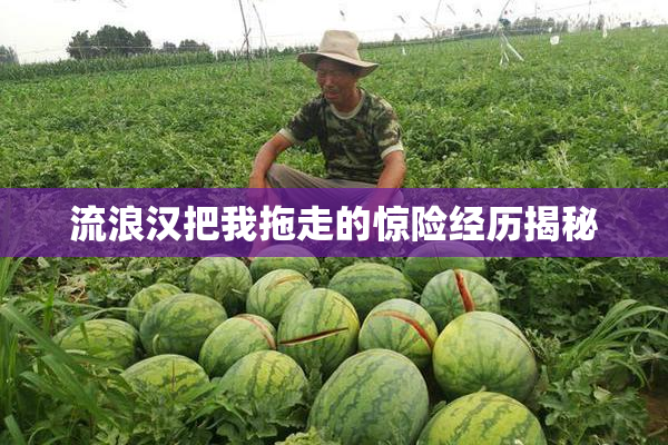 流浪汉把我拖走的惊险经历揭秘