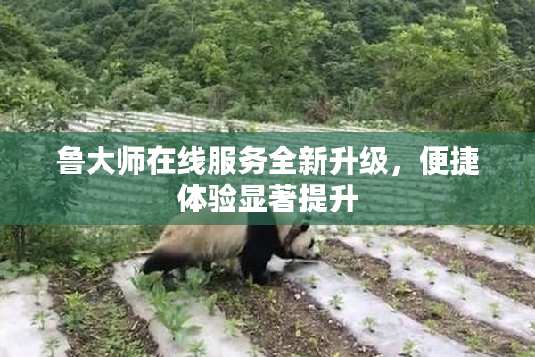 鲁大师在线服务全新升级，便捷体验显著提升