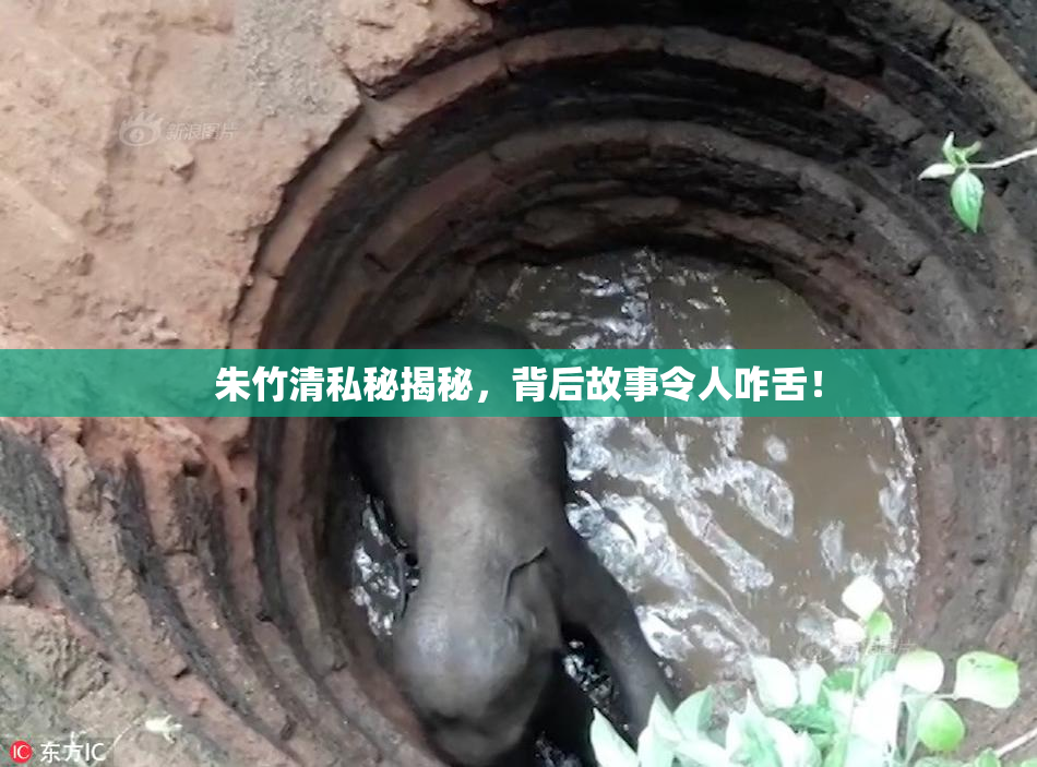 朱竹清私秘揭秘，背后故事令人咋舌！