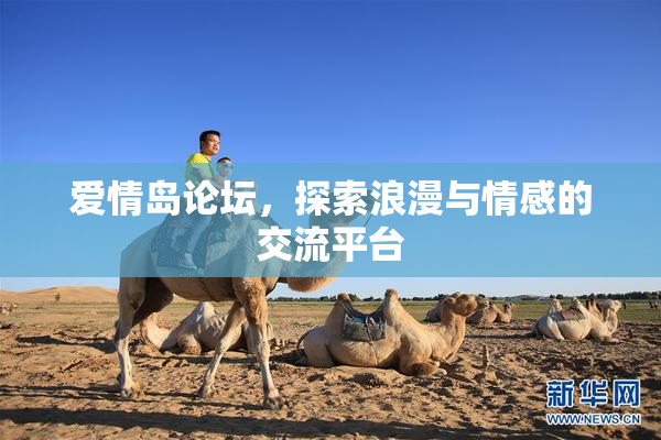爱情岛论坛，探索浪漫与情感的交流平台