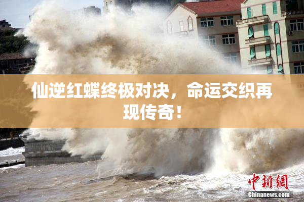 仙逆红蝶终极对决，命运交织再现传奇！