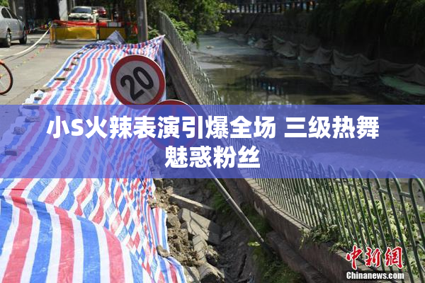 小S火辣表演引爆全场 三级热舞魅惑粉丝