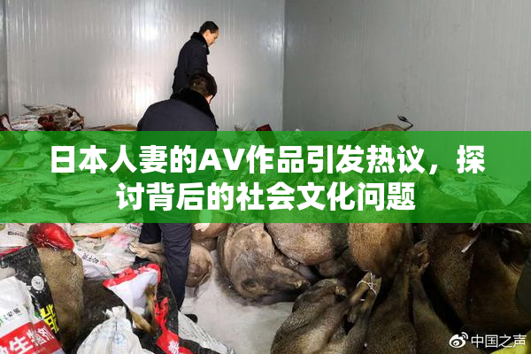 日本人妻的AV作品引发热议，探讨背后的社会文化问题