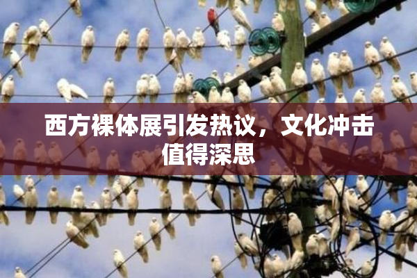 西方裸体展引发热议，文化冲击值得深思