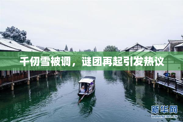千仞雪被调，谜团再起引发热议