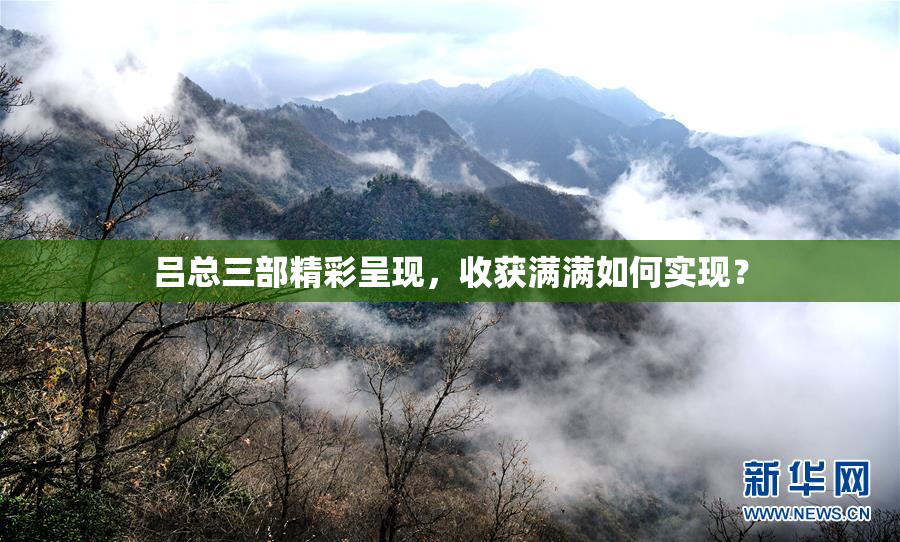 吕总三部精彩呈现，收获满满如何实现？