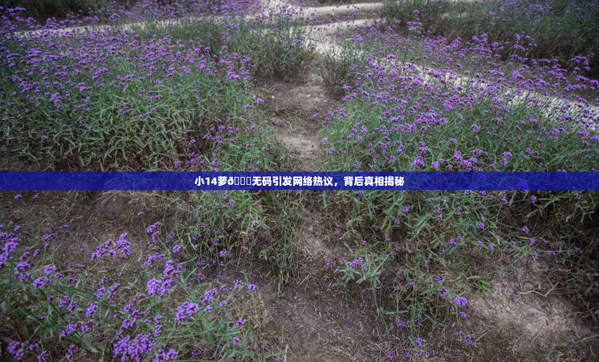 小14萝🔞无码引发网络热议，背后真相揭秘