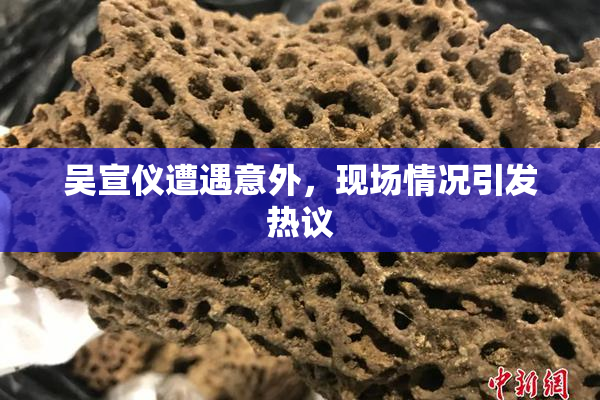 吴宣仪遭遇意外，现场情况引发热议