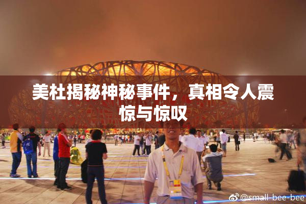 美杜揭秘神秘事件，真相令人震惊与惊叹