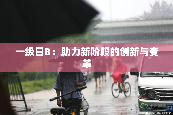 一级日B：助力新阶段的创新与变革
