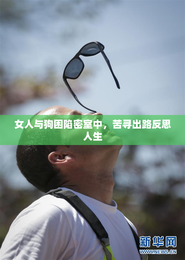 女人与狗困陷密室中，苦寻出路反思人生