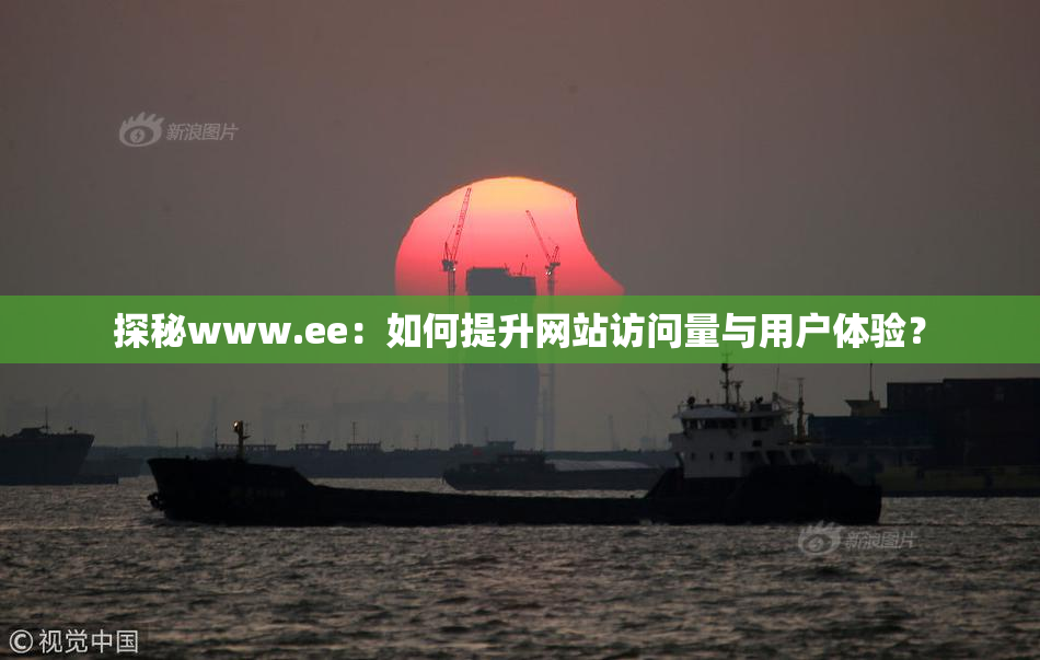 探秘www.ee：如何提升网站访问量与用户体验？
