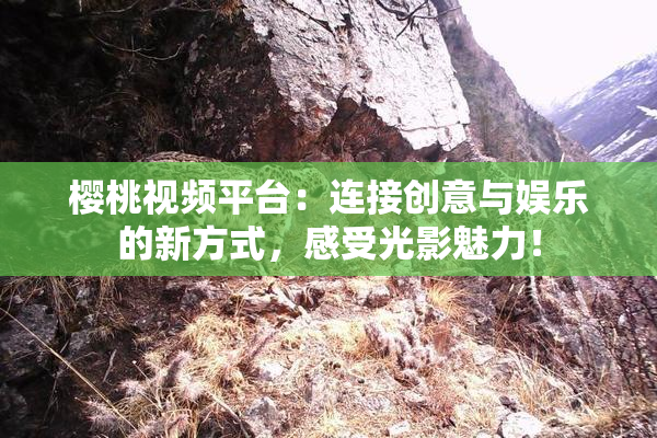 樱桃视频平台：连接创意与娱乐的新方式，感受光影魅力！