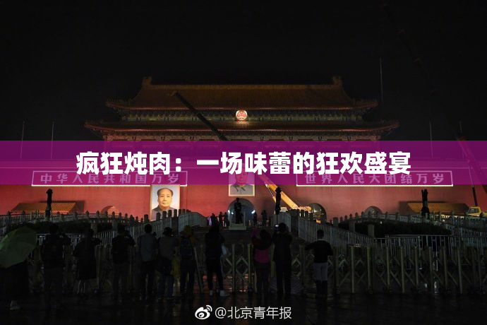 疯狂炖肉：一场味蕾的狂欢盛宴