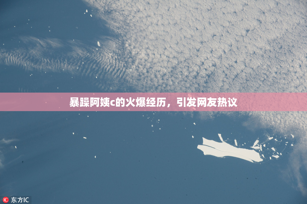 暴躁阿姨c的火爆经历，引发网友热议