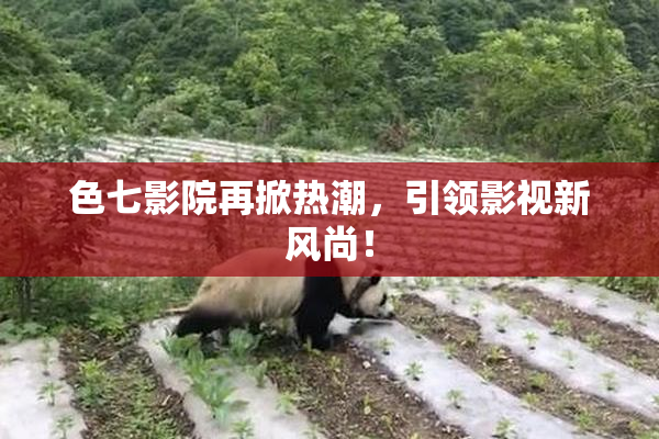 色七影院再掀热潮，引领影视新风尚！