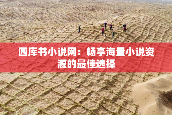 四库书小说网：畅享海量小说资源的最佳选择
