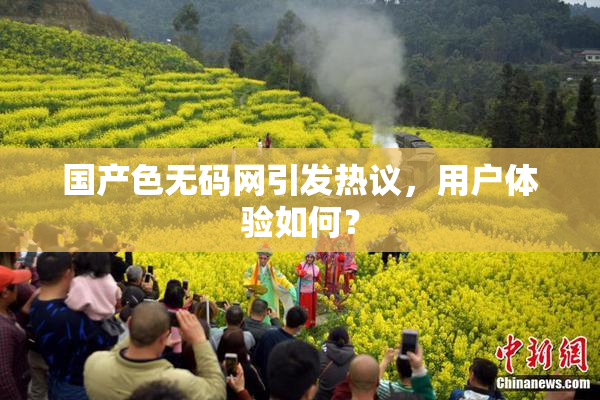国产色无码网引发热议，用户体验如何？