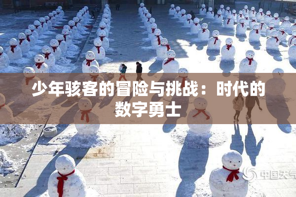 少年骇客的冒险与挑战：时代的数字勇士