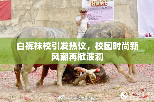 白裤袜校引发热议，校园时尚新风潮再掀波澜