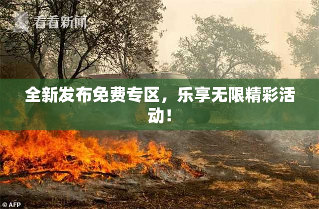 全新发布免费专区，乐享无限精彩活动！