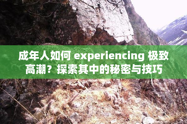 成年人如何 experiencing 极致高潮？探索其中的秘密与技巧