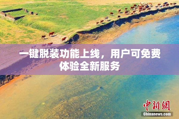 一键脱装功能上线，用户可免费体验全新服务