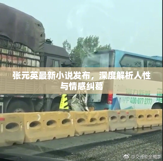 张元英最新小说发布，深度解析人性与情感纠葛