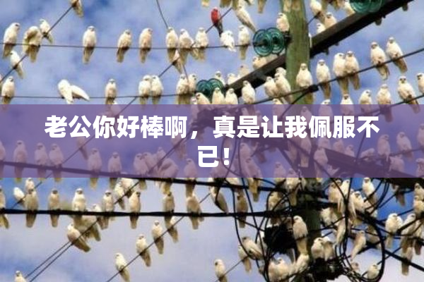 老公你好棒啊，真是让我佩服不已！
