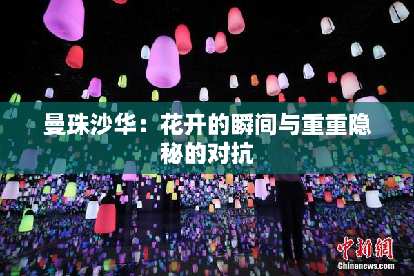 曼珠沙华：花开的瞬间与重重隐秘的对抗