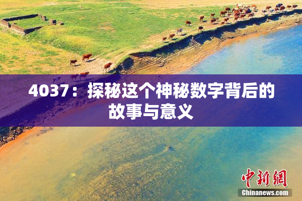 4037：探秘这个神秘数字背后的故事与意义