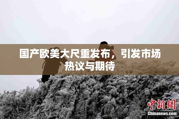 国产欧美大尺重发布，引发市场热议与期待
