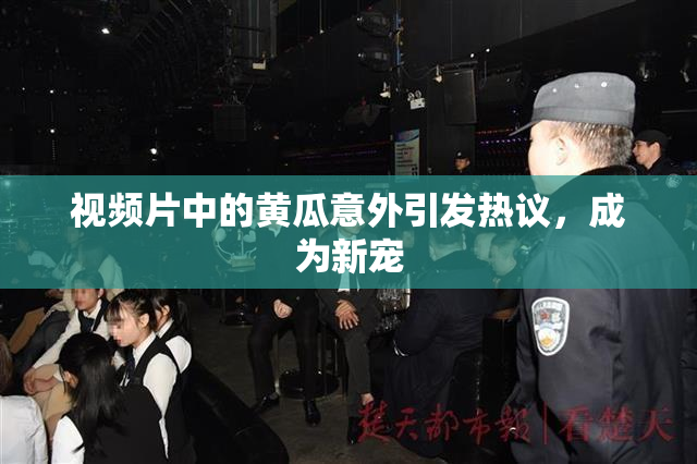 视频片中的黄瓜意外引发热议，成为新宠