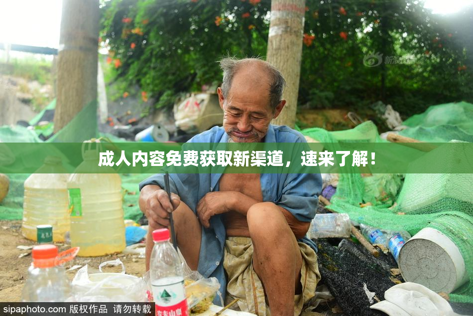 成人内容免费获取新渠道，速来了解！